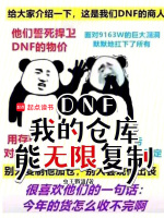 DNF：我的倉庫能無限復(fù)制小說封面