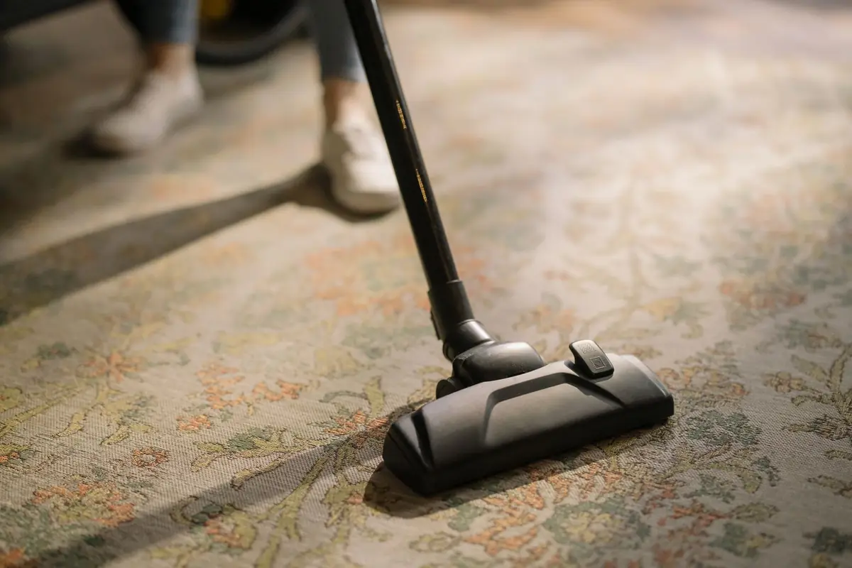 A canister vacuum cleaning a patterned area rug