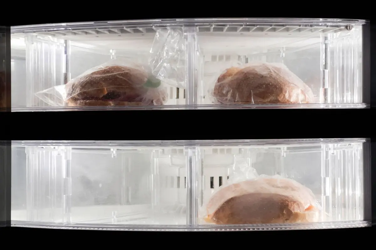 Wrapped food on clear shelves inside a freezer