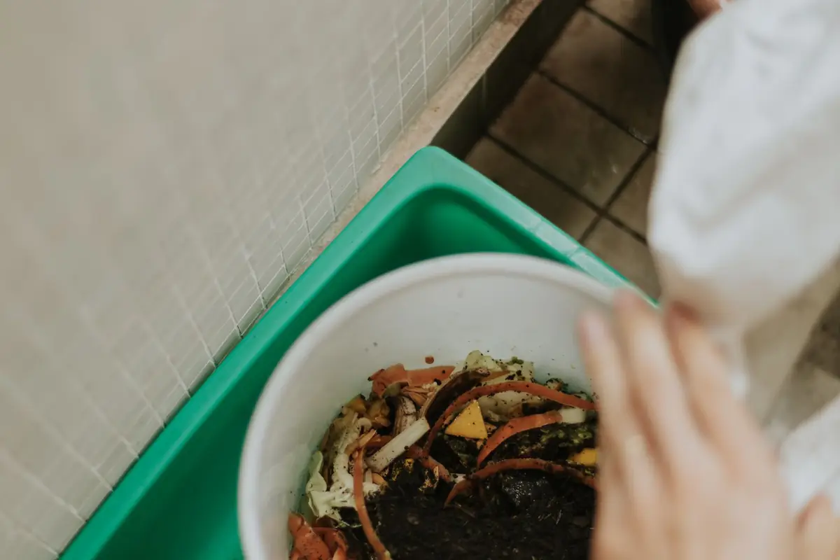 A bowl of vegetable scraps being emptied into a green compost bin