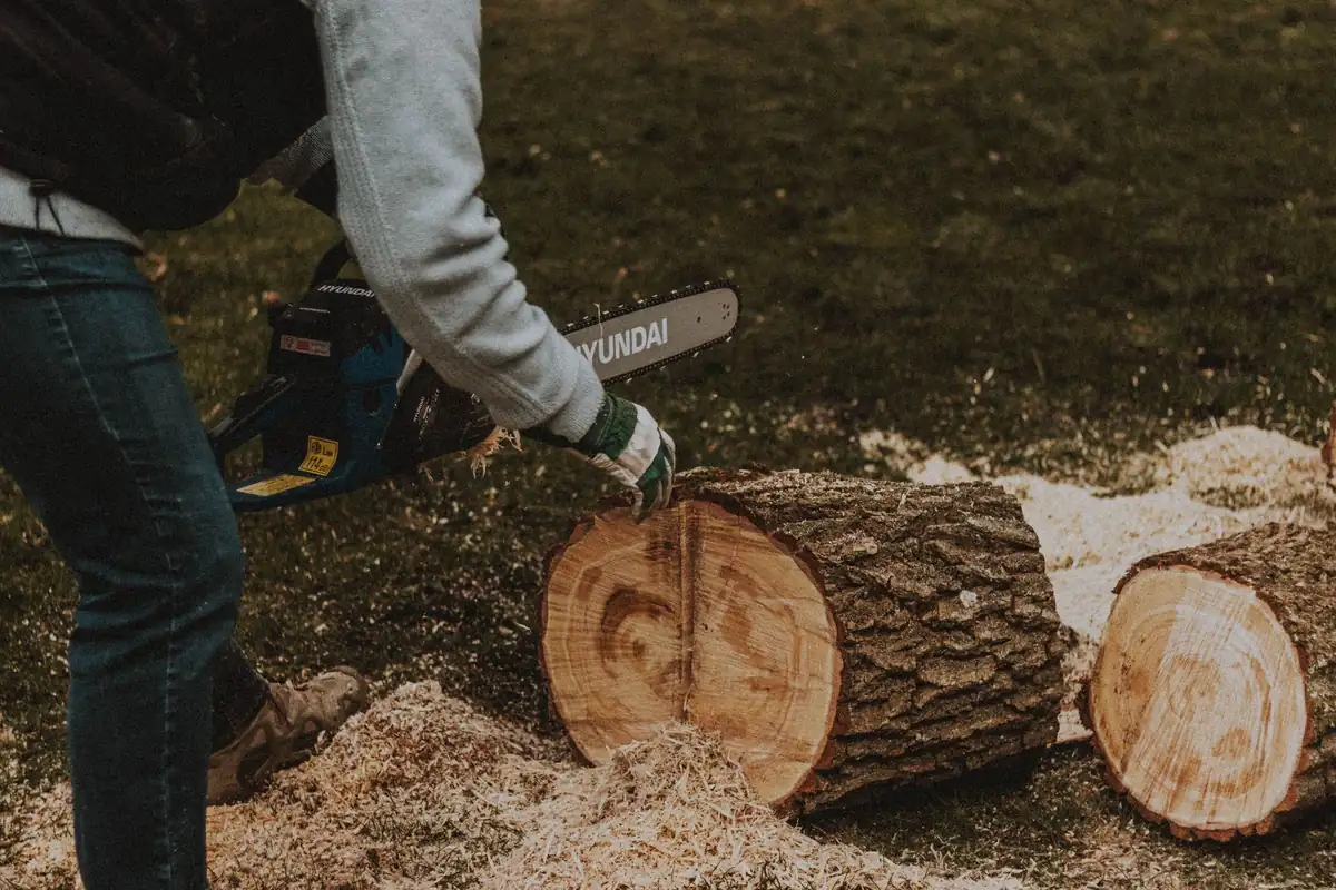 A worker in gloves cutting rounds from a log with an electric chainsaw