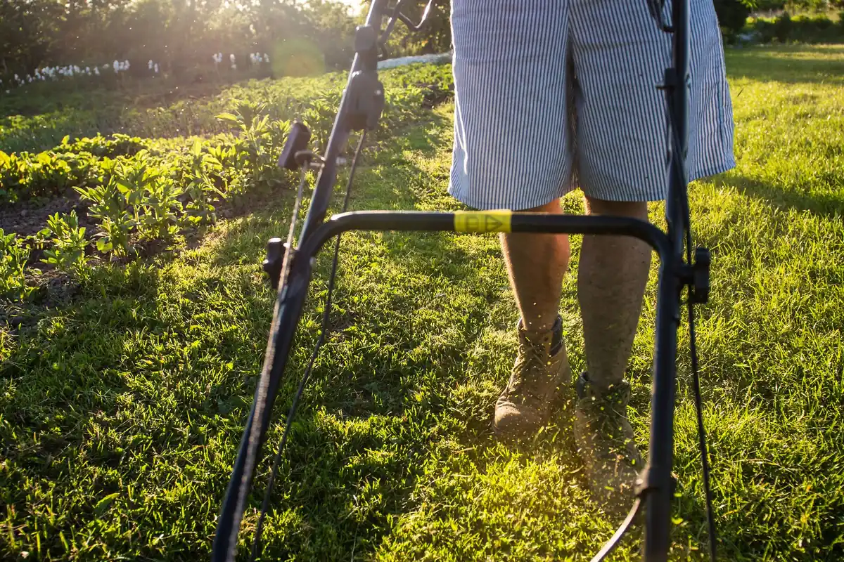 A person pushing a walk-behind mower across bright green grass