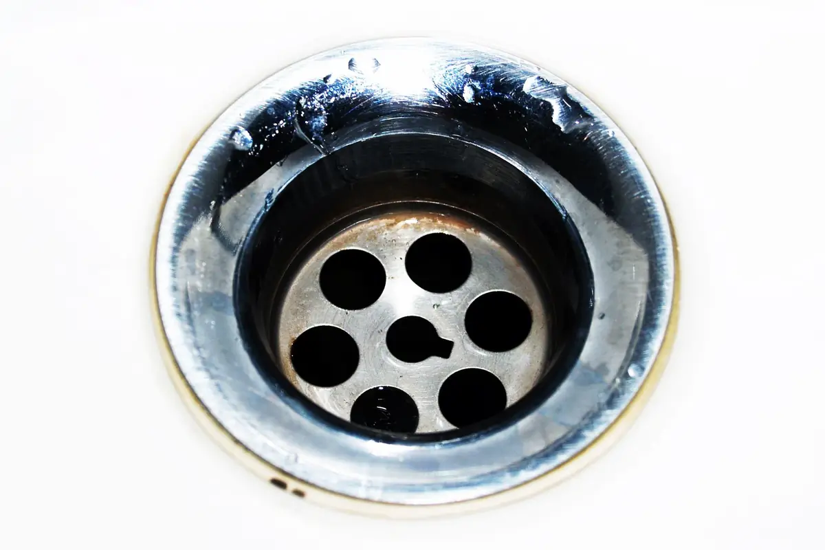 A chrome kitchen sink drain