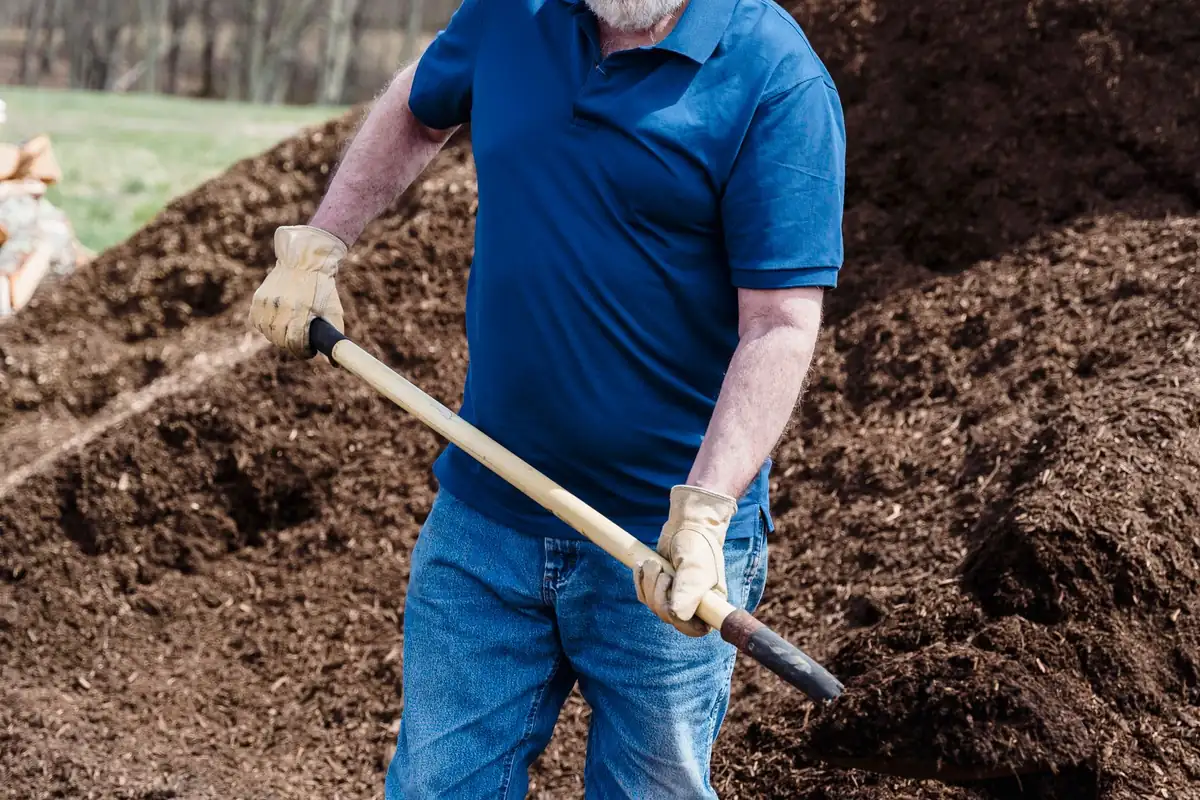 A man in gloves shoveling compost in a garden