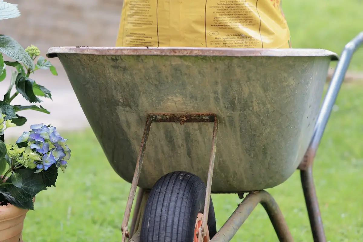 A wheelbarrow carrying a bag of soil across a lawn