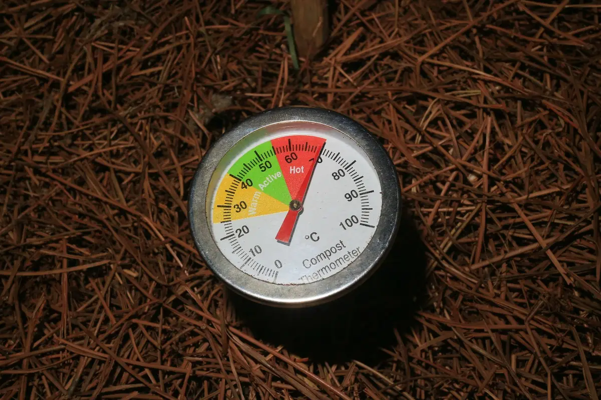 A compost thermometer pushed into a pile, reading in the active range