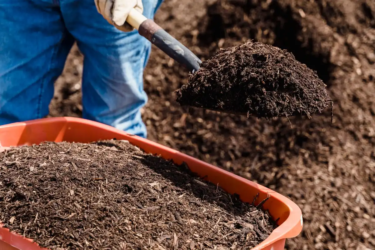 A gloved hand shoveling dark compost into an orange tub