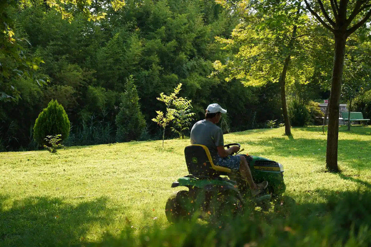 A man on a riding mower in a garden with trees