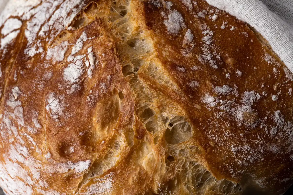 A round sourdough loaf on a floured surface