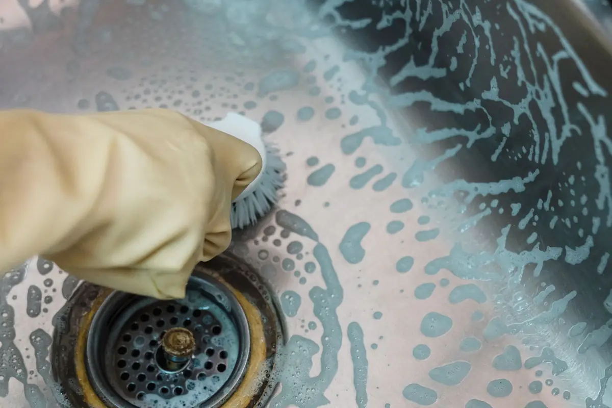 A gloved hand scrubbing around a stainless sink drain