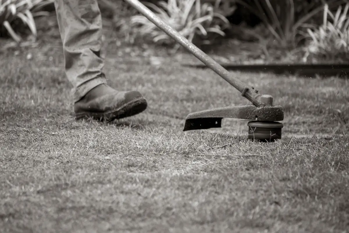 A string trimmer head cutting grass, seen up close