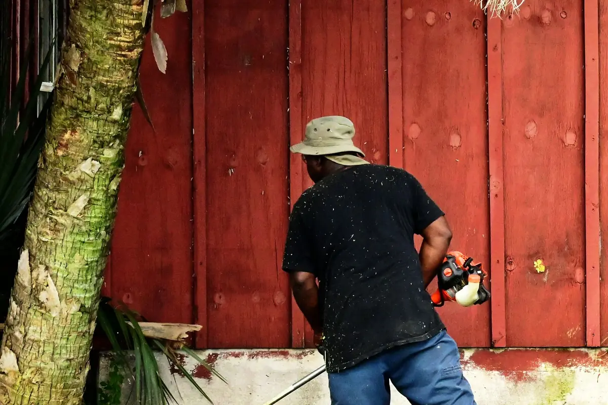A man using a string trimmer beside a red wooden shed