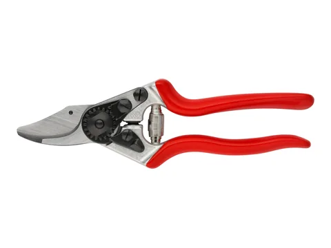 Product photo of the Felco 6 Pruning Shears